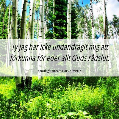 Picture 06 - Apostlagärningarna 20:27 SV1917 - Ty jag har icke undandragit mig att förkunna - Bible Verse Picture