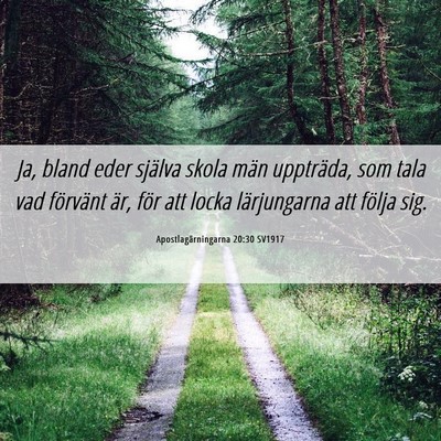 Picture 06 - Apostlagärningarna 20:30 SV1917 - Ja, bland eder själva skola män uppträda, som - Bible Verse Picture
