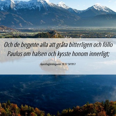 Picture 06 - Apostlagärningarna 20:37 SV1917 - Och de begynte alla att gråta bitterligen och - Bible Verse Picture
