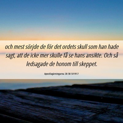 Picture 06 - Apostlagärningarna 20:38 SV1917 - och mest sörjde de för det ordets skull som han - Bible Verse Picture