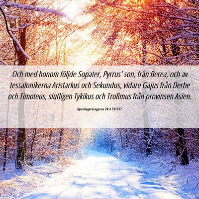 Picture 06 - Apostlagärningarna 20:4 SV1917 - Och med honom följde Sopater, Pyrrus' son, från - Bible Verse Picture
