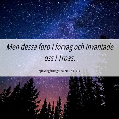 Picture 06 - Apostlagärningarna 20:5 SV1917 - Men dessa foro i förväg och inväntade oss i - Bible Verse Picture