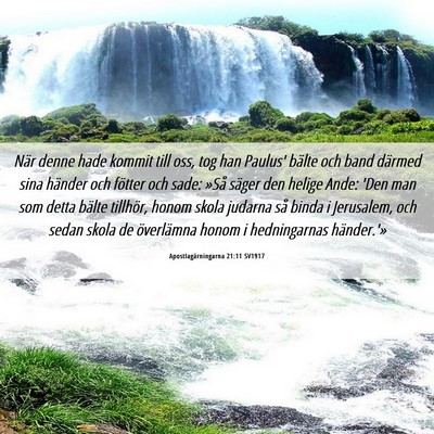 Picture 06 - Apostlagärningarna 21:11 SV1917 - När denne hade kommit till oss, tog han Paulus' - Bible Verse Picture