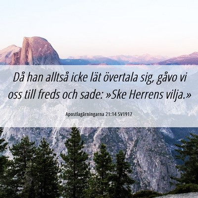 Picture 06 - Apostlagärningarna 21:14 SV1917 - Då han alltså icke lät övertala sig, gåvo vi - Bible Verse Picture