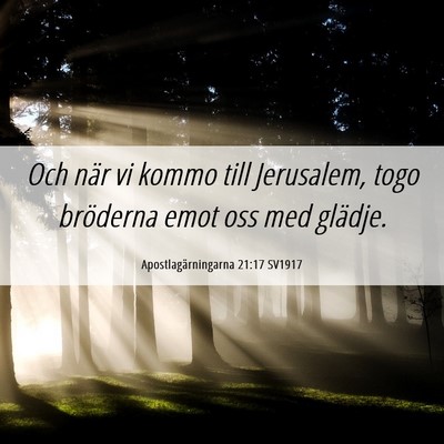 Picture 06 - Apostlagärningarna 21:17 SV1917 - Och när vi kommo till Jerusalem, togo bröderna - Bible Verse Picture