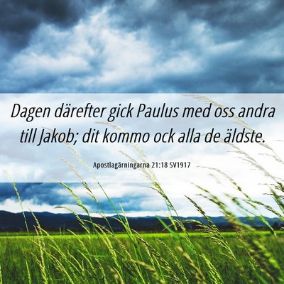Picture 06 - Apostlagärningarna 21:18 SV1917 - Dagen därefter gick Paulus med oss andra till - Bible Verse Picture