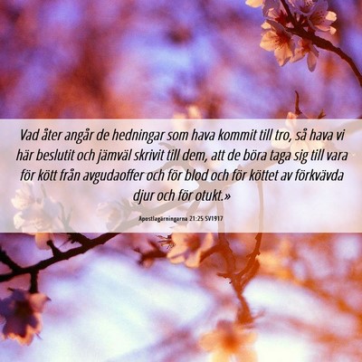 Picture 06 - Apostlagärningarna 21:25 SV1917 - Vad åter angår de hedningar som hava kommit - Bible Verse Picture
