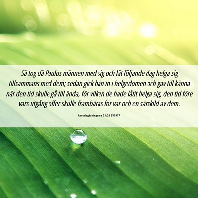 Picture 06 - Apostlagärningarna 21:26 SV1917 - Så tog då Paulus männen med sig och lät - Bible Verse Picture