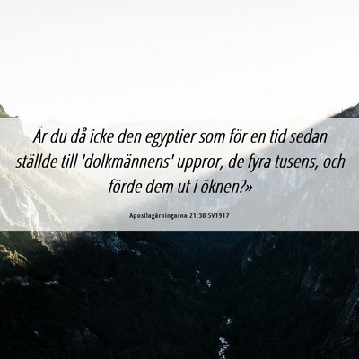 Picture 06 - Apostlagärningarna 21:38 SV1917 - Är du då icke den egyptier som för en tid - Bible Verse Picture