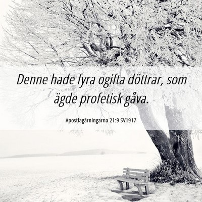 Picture 06 - Apostlagärningarna 21:9 SV1917 - Denne hade fyra ogifta döttrar, som ägde - Bible Verse Picture