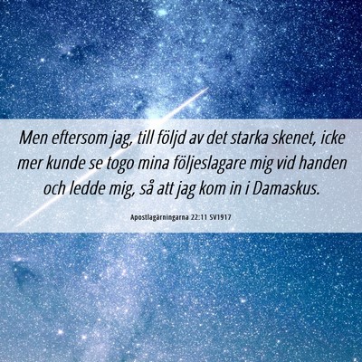 Picture 06 - Apostlagärningarna 22:11 SV1917 - Men eftersom jag, till följd av det starka - Bible Verse Picture