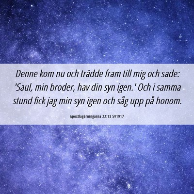 Picture 06 - Apostlagärningarna 22:13 SV1917 - Denne kom nu och trädde fram till mig och sade: - Bible Verse Picture