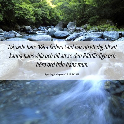 Picture 06 - Apostlagärningarna 22:14 SV1917 - Då sade han: 'Våra fäders Gud har utsett dig - Bible Verse Picture