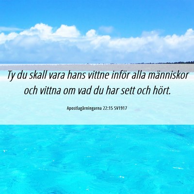 Picture 06 - Apostlagärningarna 22:15 SV1917 - Ty du skall vara hans vittne inför alla - Bible Verse Picture