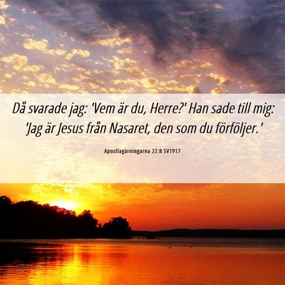Picture 06 - Apostlagärningarna 22:8 SV1917 - Då svarade jag: 'Vem är du, Herre?' Han sade - Bible Verse Picture