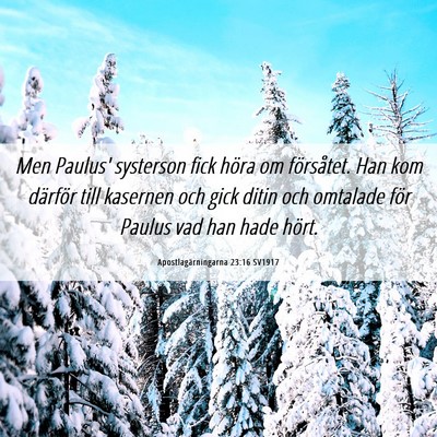 Picture 06 - Apostlagärningarna 23:16 SV1917 - Men Paulus' systerson fick höra om försåtet. - Bible Verse Picture