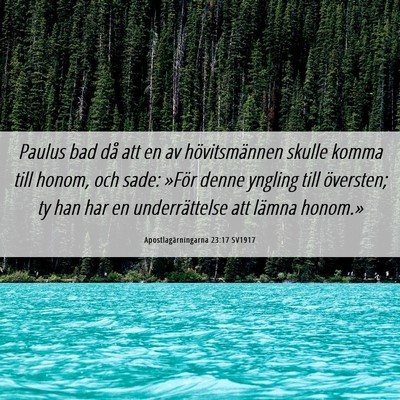Picture 06 - Apostlagärningarna 23:17 SV1917 - Paulus bad då att en av hövitsmännen skulle - Bible Verse Picture