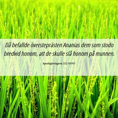 Picture 06 - Apostlagärningarna 23:2 SV1917 - Då befallde översteprästen Ananias dem som - Bible Verse Picture
