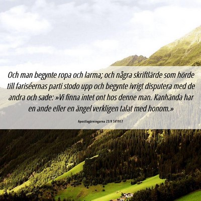 Picture 06 - Apostlagärningarna 23:9 SV1917 - Och man begynte ropa och larma; och några - Bible Verse Picture