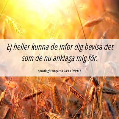 Picture 06 - Apostlagärningarna 24:13 SV1917 - Ej heller kunna de inför dig bevisa det som de - Bible Verse Picture