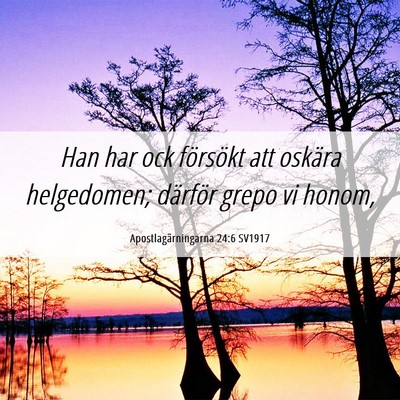 Picture 06 - Apostlagärningarna 24:6 SV1917 - Han har ock försökt att oskära helgedomen; - Bible Verse Picture