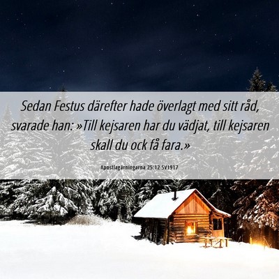 Picture 06 - Apostlagärningarna 25:12 SV1917 - Sedan Festus därefter hade överlagt med sitt - Bible Verse Picture
