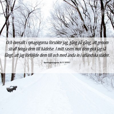 Picture 06 - Apostlagärningarna 26:11 SV1917 - Och överallt i synagogorna försökte jag, gång - Bible Verse Picture