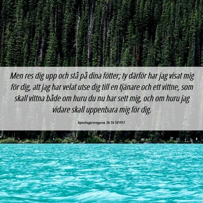 Picture 06 - Apostlagärningarna 26:16 SV1917 - Men res dig upp och stå på dina fötter; ty - Bible Verse Picture
