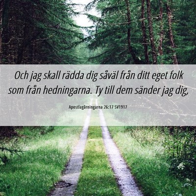 Picture 06 - Apostlagärningarna 26:17 SV1917 - Och jag skall rädda dig såväl från ditt eget - Bible Verse Picture