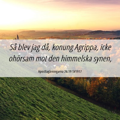 Picture 06 - Apostlagärningarna 26:19 SV1917 - Så blev jag då, konung Agrippa, icke ohörsam - Bible Verse Picture