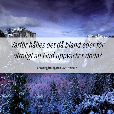 Picture 06 - Apostlagärningarna 26:8 SV1917 - Varför hålles det då bland eder för otroligt - Bible Verse Picture