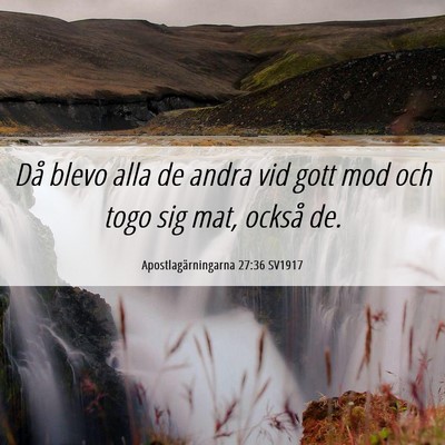 Picture 06 - Apostlagärningarna 27:36 SV1917 - Då blevo alla de andra vid gott mod och togo sig - Bible Verse Picture