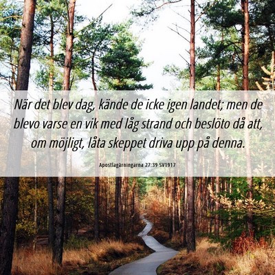 Picture 06 - Apostlagärningarna 27:39 SV1917 - När det blev dag, kände de icke igen landet; - Bible Verse Picture
