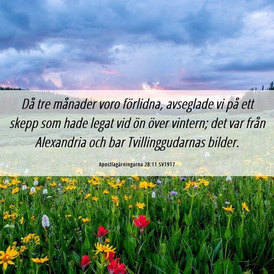 Picture 06 - Apostlagärningarna 28:11 SV1917 - Då tre månader voro förlidna, avseglade vi på - Bible Verse Picture