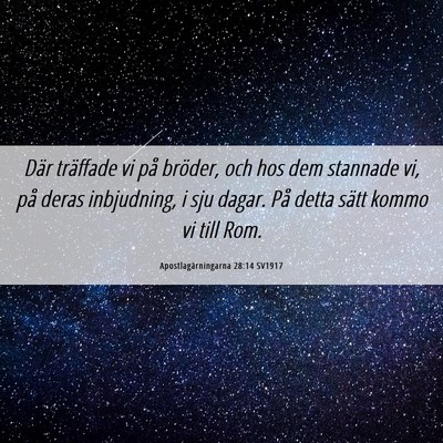 Picture 06 - Apostlagärningarna 28:14 SV1917 - Där träffade vi på bröder, och hos dem - Bible Verse Picture