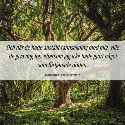 Picture 06 - Apostlagärningarna 28:18 SV1917 - Och när de hade anställt rannsakning med mig, - Bible Verse Picture