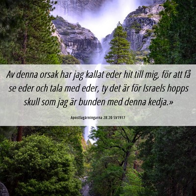 Picture 06 - Apostlagärningarna 28:20 SV1917 - Av denna orsak har jag kallat eder hit till mig, - Bible Verse Picture