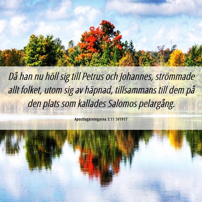 Picture 06 - Apostlagärningarna 3:11 SV1917 - Då han nu höll sig till Petrus och Johannes, - Bible Verse Picture