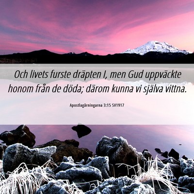 Picture 06 - Apostlagärningarna 3:15 SV1917 - Och livets furste dräpten I, men Gud uppväckte - Bible Verse Picture