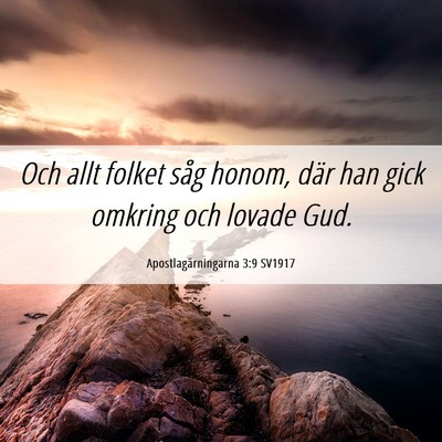 Picture 06 - Apostlagärningarna 3:9 SV1917 - Och allt folket såg honom, där han gick omkring - Bible Verse Picture