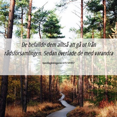 Picture 06 - Apostlagärningarna 4:15 SV1917 - De befallde dem alltså att gå ut från - Bible Verse Picture