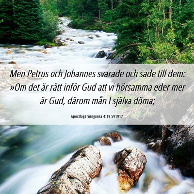 Picture 06 - Apostlagärningarna 4:19 SV1917 - Men Petrus och Johannes svarade och sade till - Bible Verse Picture