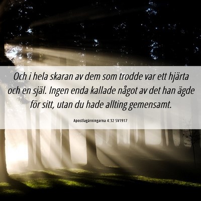 Picture 06 - Apostlagärningarna 4:32 SV1917 - Och i hela skaran av dem som trodde var ett - Bible Verse Picture