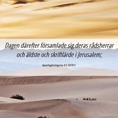Picture 06 - Apostlagärningarna 4:5 SV1917 - Dagen därefter församlade sig deras rådsherrar - Bible Verse Picture