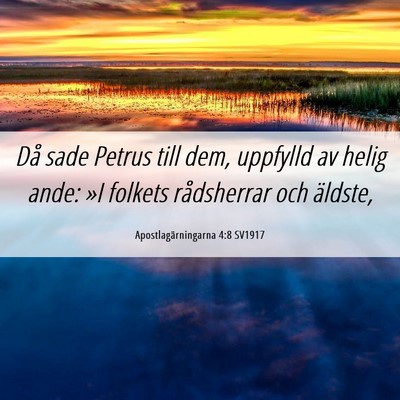 Picture 06 - Apostlagärningarna 4:8 SV1917 - Då sade Petrus till dem, uppfylld av helig ande: - Bible Verse Picture