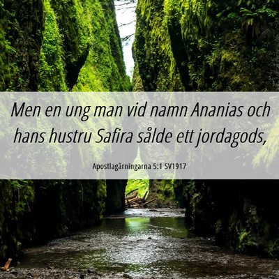 Picture 06 - Apostlagärningarna 5:1 SV1917 - Men en ung man vid namn Ananias och hans hustru - Bible Verse Picture