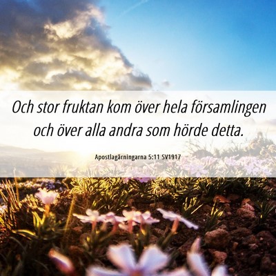 Picture 06 - Apostlagärningarna 5:11 SV1917 - Och stor fruktan kom över hela församlingen och - Bible Verse Picture