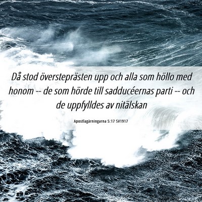 Picture 06 - Apostlagärningarna 5:17 SV1917 - Då stod översteprästen upp och alla som höllo - Bible Verse Picture