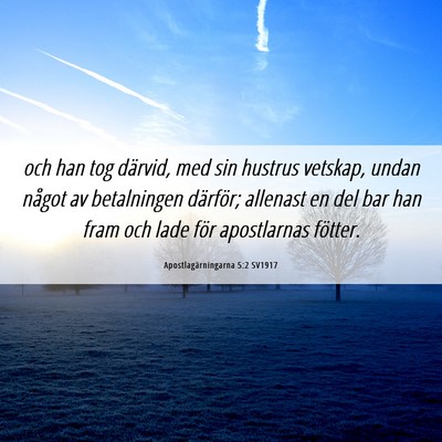 Picture 06 - Apostlagärningarna 5:2 SV1917 - och han tog därvid, med sin hustrus vetskap, - Bible Verse Picture