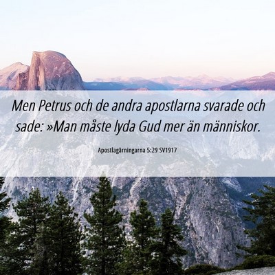 Picture 06 - Apostlagärningarna 5:29 SV1917 - Men Petrus och de andra apostlarna svarade och - Bible Verse Picture